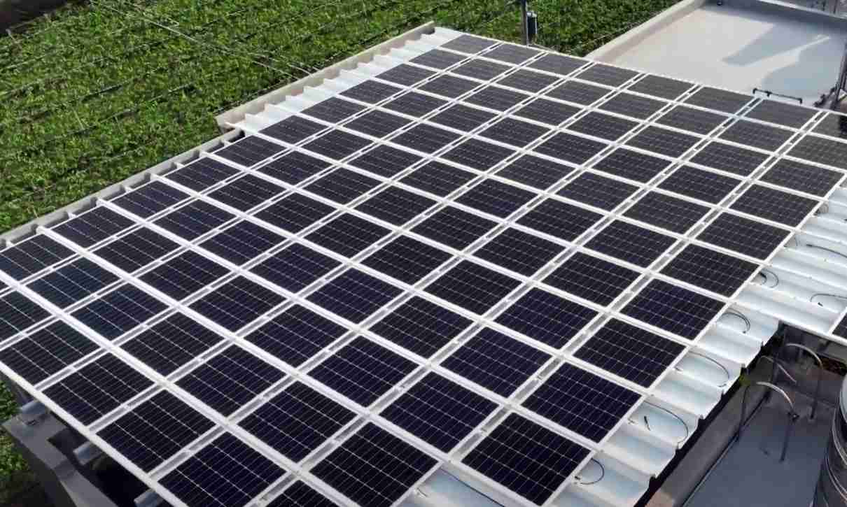 杏悦2SunSteel光电浪板升级双玻结构，，，，以提升机械负载强度及气候耐候度，，，，可广泛运用于多元场域